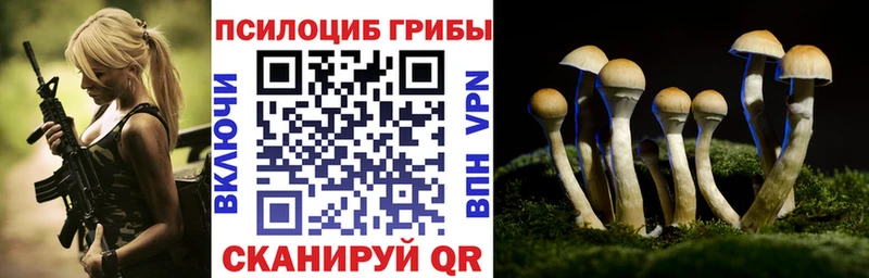 Псилоцибиновые грибы мицелий Карабулак