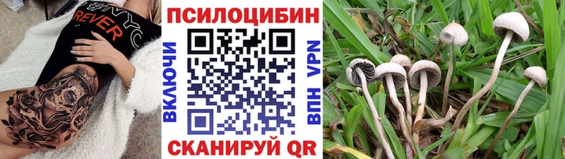 Галлюциногенные грибы Psilocybe  Карабулак 